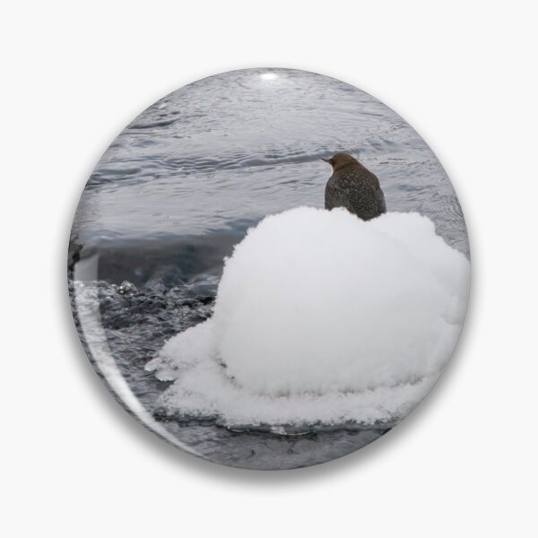 Item preview, White hat moment. White-throated dipper designed and sold by Jouko Lehto Photography.
