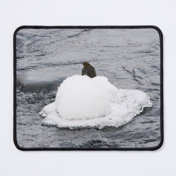 Item preview, White hat moment. White-throated dipper designed and sold by Jouko Lehto Photography.