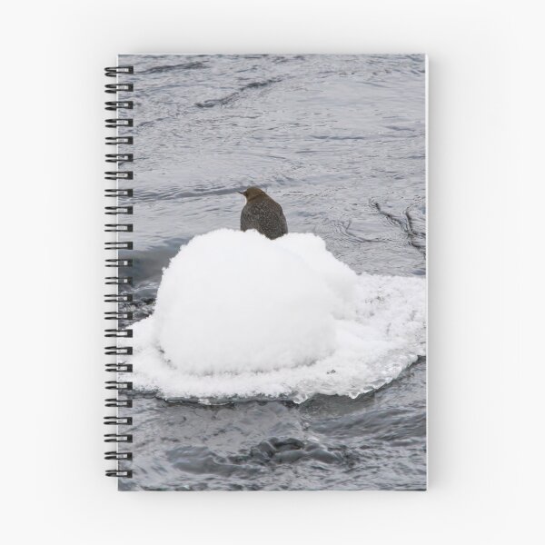 Item preview, White hat moment. White-throated dipper designed and sold by Jouko Lehto Photography.