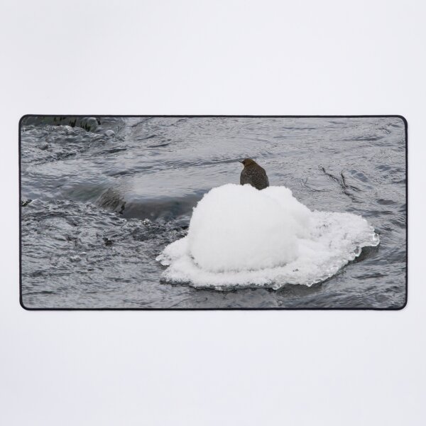 Item preview, White hat moment. White-throated dipper designed and sold by Jouko Lehto Photography.
