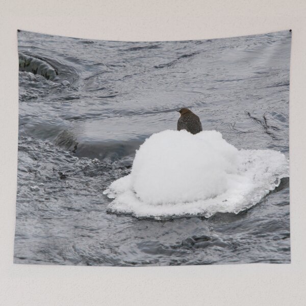 Item preview, White hat moment. White-throated dipper designed and sold by Jouko Lehto Photography.