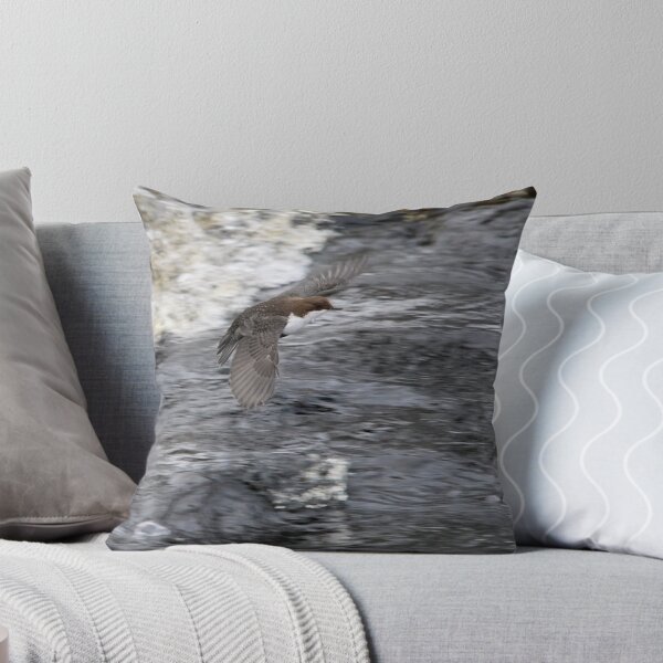 Item preview, Fast flight. White-throated dipper designed and sold by Jouko Lehto Photography.