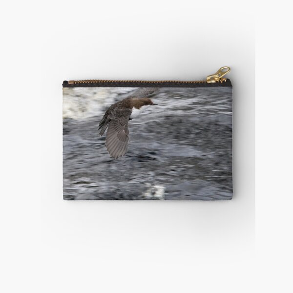 Item preview, Fast flight. White-throated dipper designed and sold by Jouko Lehto Photography.