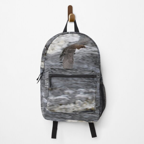 Item preview, Fast flight. White-throated dipper designed and sold by Jouko Lehto Photography.