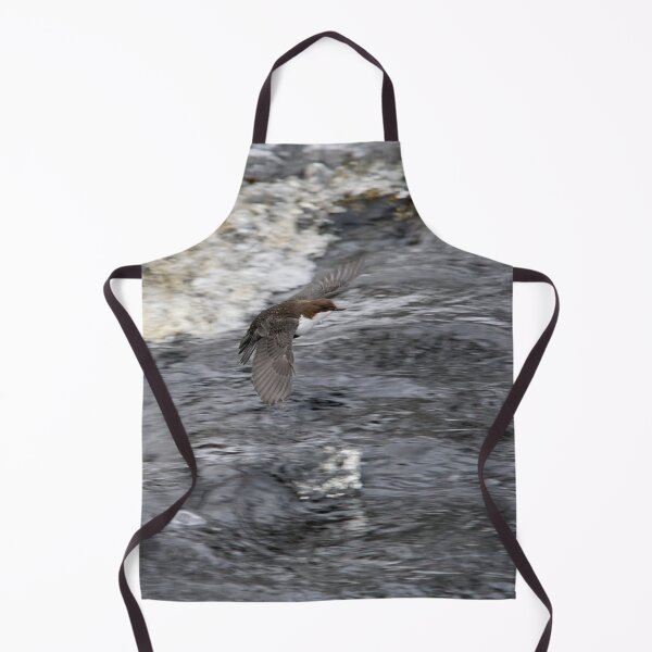 Item preview, Fast flight. White-throated dipper designed and sold by Jouko Lehto Photography.