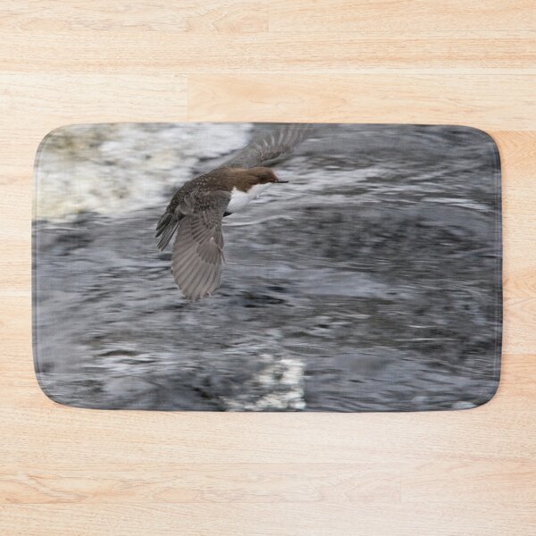 Item preview, Fast flight. White-throated dipper designed and sold by Jouko Lehto Photography.