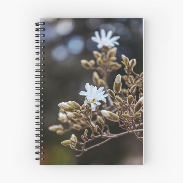 Item preview, Blooming Magnolia Tree designed and sold by torishaa.