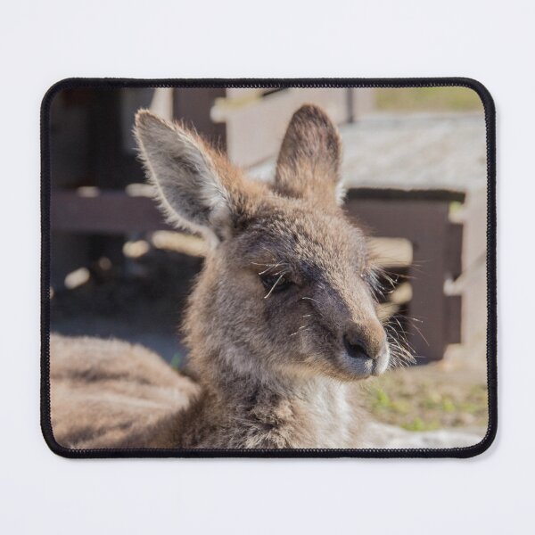 Item preview, recalcitrant hopper designed and sold by cactusdandy.