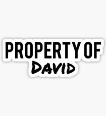 Property of David Sticker