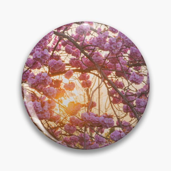 Artikelvorschau, Cherry Blossom im Sonnenuntergang entworfen und verkauft von VictoriaBonn.