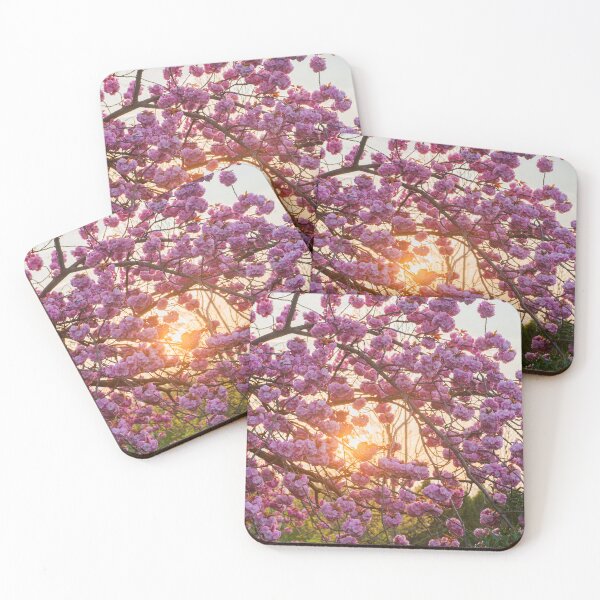 Artikelvorschau, Cherry Blossom im Sonnenuntergang  entworfen und verkauft von VictoriaBonn.
