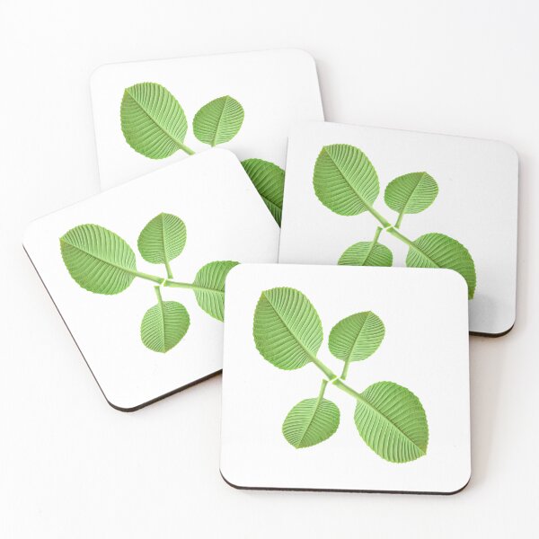 Item preview, green leaves Stickers, beautiful leaf, Dillenia obovate leaves (Blume) Hoogland, simpoh leaves (Dillenia suffruticosa, simpoh air)  designed and sold by MiMee4451.