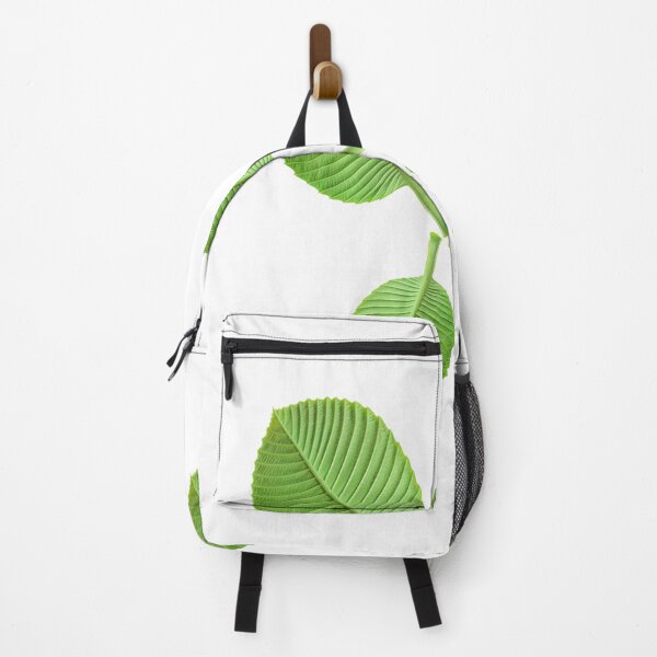 Item preview, green leaves Stickers, beautiful leaf, Dillenia obovate leaves (Blume) Hoogland, simpoh leaves (Dillenia suffruticosa, simpoh air)  designed and sold by MiMee4451.