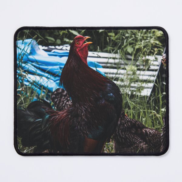 Item preview, Copy of Feathered Elegance designed and sold by NaturesState.