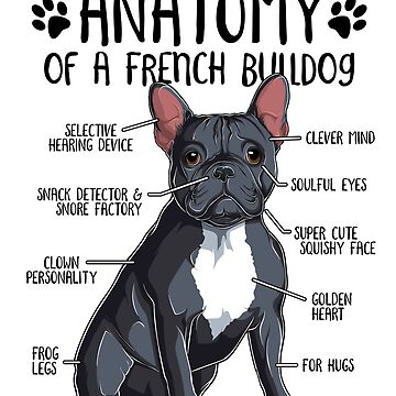 Étiquette à Bagage French Bulldog - Drôle De Chiot Sur Fond D'étoiles - Neuve