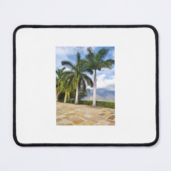 Item preview, The Palm trees designed and sold by Adrycute.