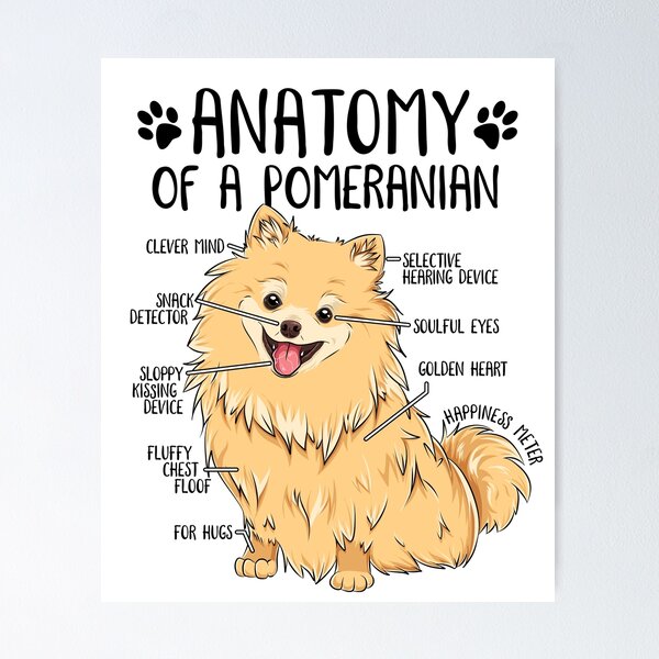 Item preview, Funny Anatomy Pomeranian Dog Pom Dog Lover Cute Zwergspitz designed and sold by lanynx design.