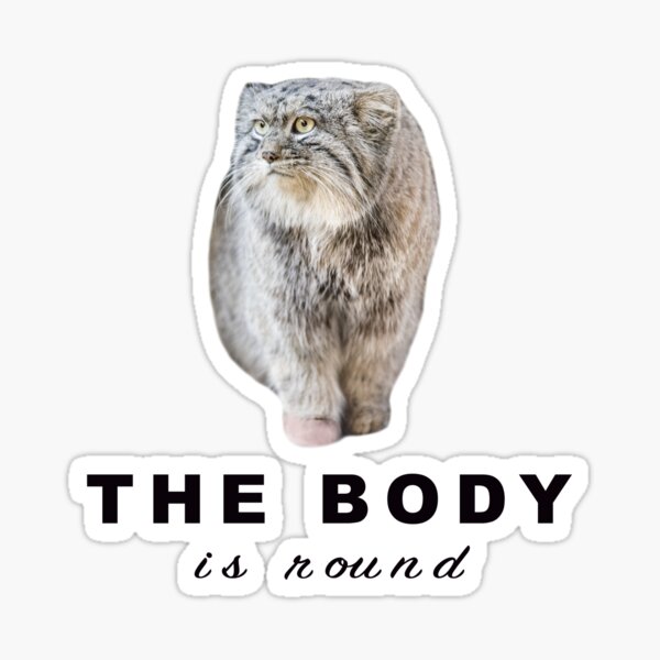 Vista previa del artículo con la obra «Gato Pallas El Cuerpo es Redondo», diseñado y vendido por ep-pandality.