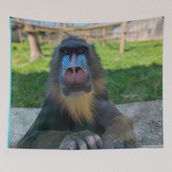 Item preview, Monkey Madness designed and sold by Fearless-Fox.