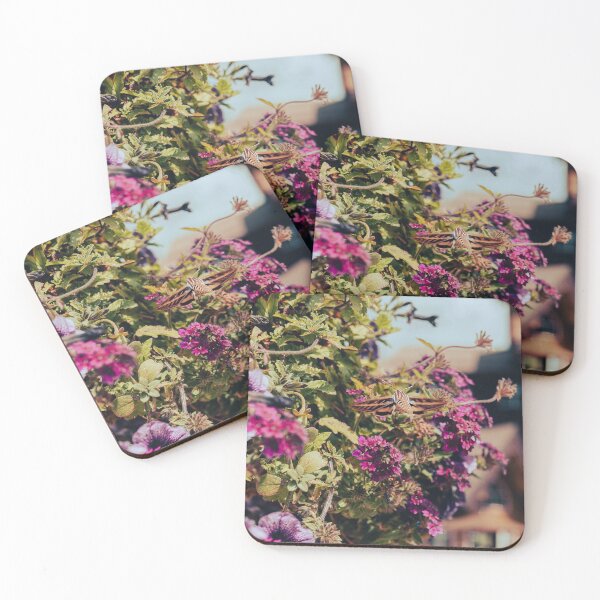 Item preview, "Hummingbird" Moth designed and sold by MoodandMagic.