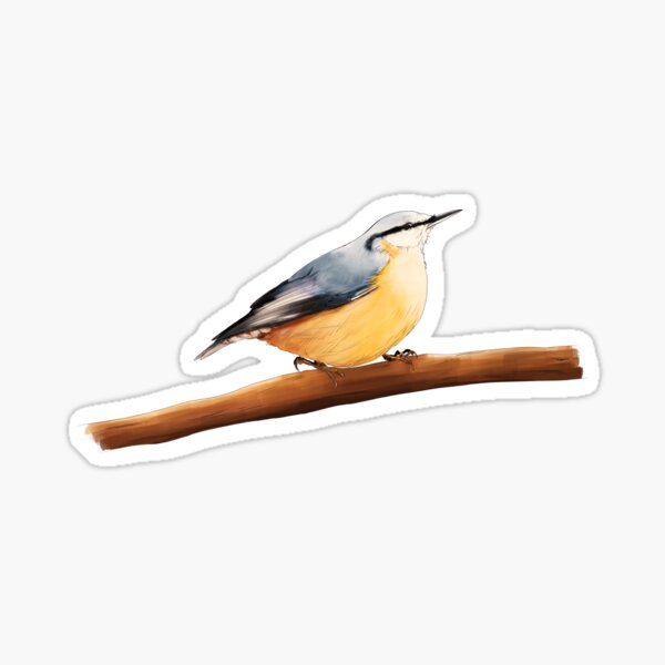 Item preview, Cute Eurasian nuthatch / wood nuthatch illustration  designed and sold by Kat-D-Art.