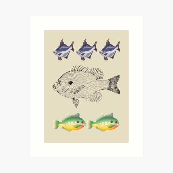 Bluegill Fishing Lure Art Print by NorFy - Fy