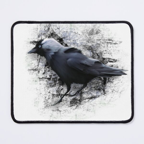 Item preview, jackdaw black stone designed and sold by MonikaLauda.