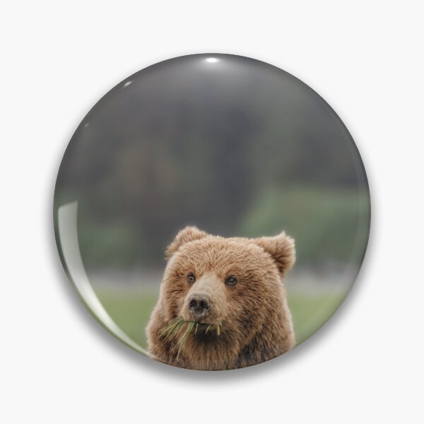 Item preview, Brown Bear in the Sedge Grass Meadow 2 Alaska designed and sold by PhotoArt by Joan Carroll.