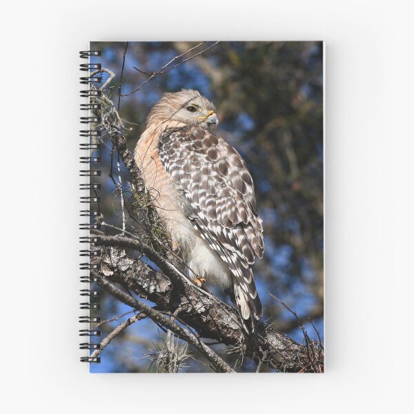Item preview, Red-shouldered Hawk designed and sold by CloserToTheArt.