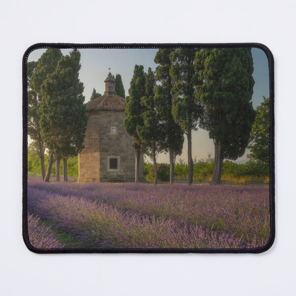 Item preview, Lavender field, cypress trees and church. Bolgheri, Tuscany, Italy designed and sold by Stefano Orazzini.