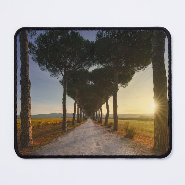 Item preview, Bolgheri pine tree at sunrise. Maremma, Tuscany, Italy designed and sold by Stefano Orazzini.