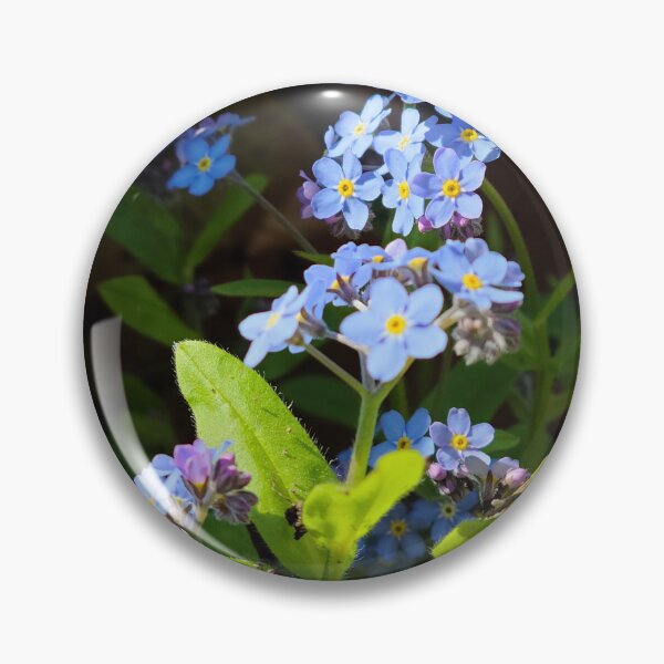 Artikelvorschau, Forget-Me-Not entworfen und verkauft von MrsRaynor.