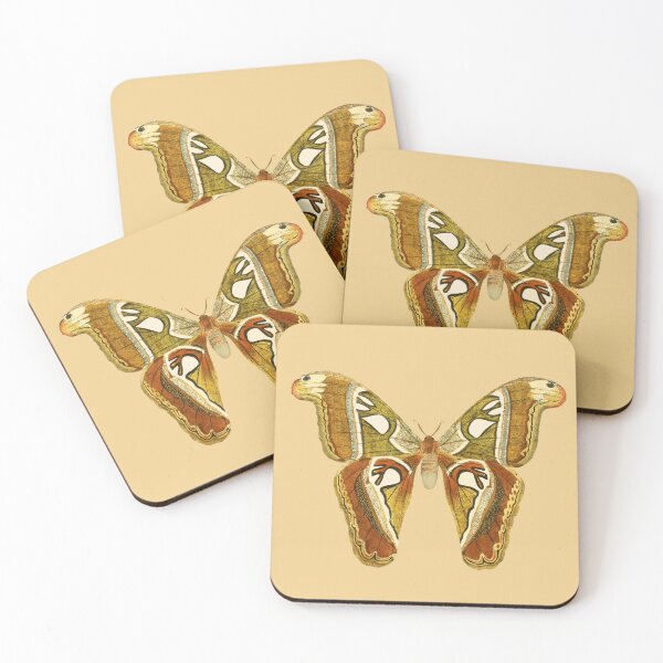 Item preview, Atlas Moth - Moth Photography designed and sold by TheEndlessStore.