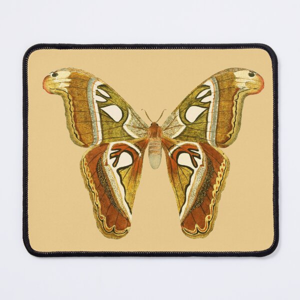 Item preview, Atlas Moth - Moth Photography designed and sold by TheEndlessStore.