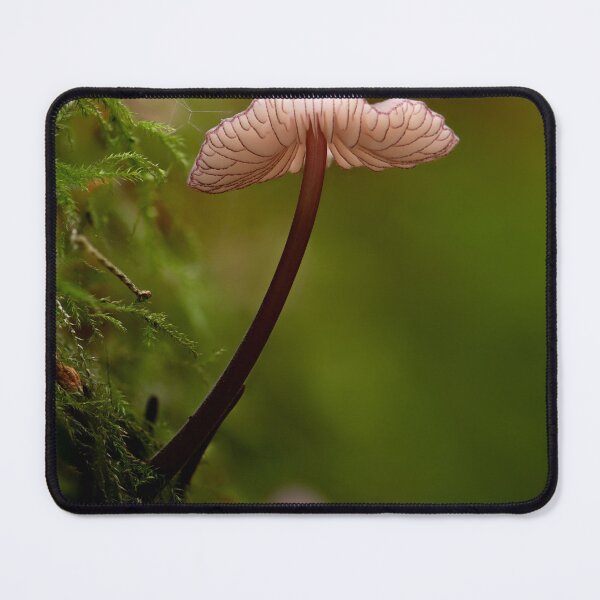 Item preview, Purple edged bonnet designed and sold by millivedder.