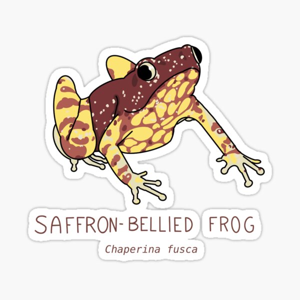 Item preview, Saffron-bellied Frog (Chaperina fusca) designed and sold by HanShapsDesigns.