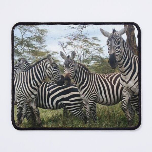 Item preview, Cute Zebras designed and sold by annenambiro.