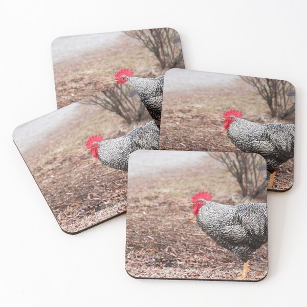 Item preview, Beautiful Chicken designed and sold by Cynthia48.