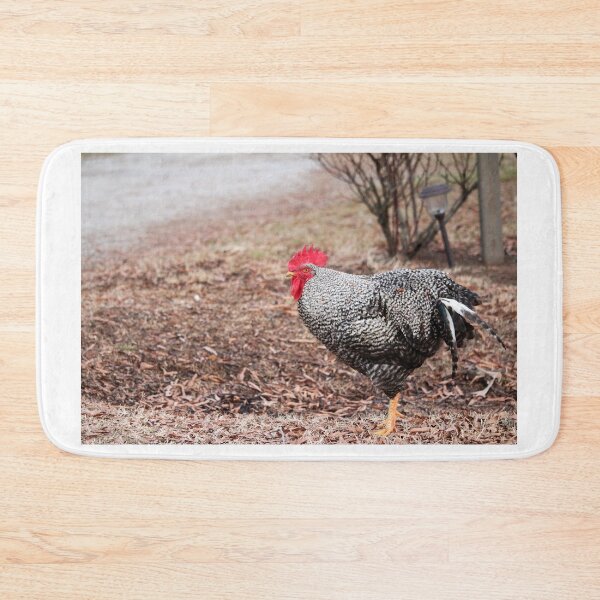 Item preview, Beautiful Chicken designed and sold by Cynthia48.