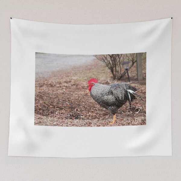 Item preview, Beautiful Chicken designed and sold by Cynthia48.