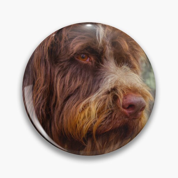 Item preview, Bird Dog Portrait designed and sold by Isla Creek Casuals.