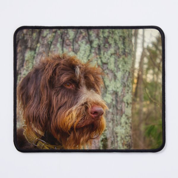 Item preview, Bird Dog Portrait designed and sold by Isla Creek Casuals.