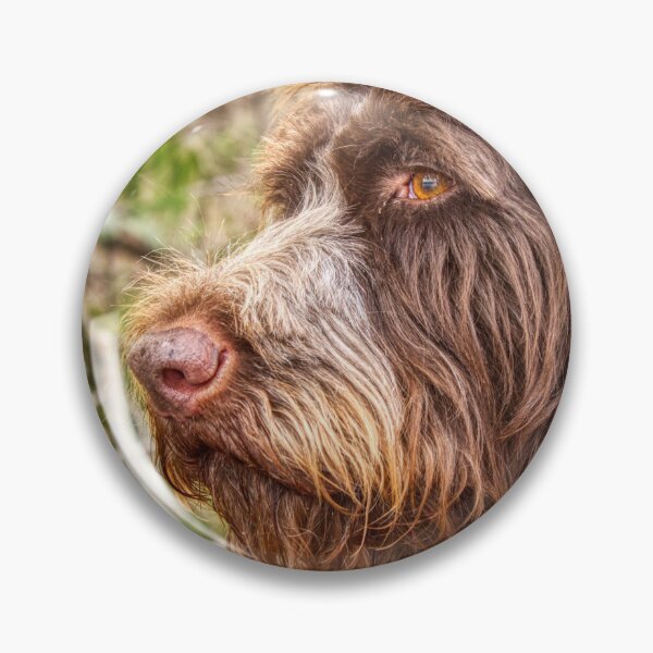 Item preview, Portrait of a Bird Dog II designed and sold by Isla Creek Casuals.