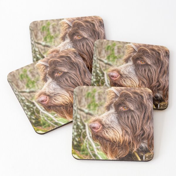Item preview, Portrait of a Bird Dog II designed and sold by Isla Creek Casuals.