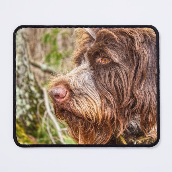 Item preview, Portrait of a Bird Dog II designed and sold by Isla Creek Casuals.