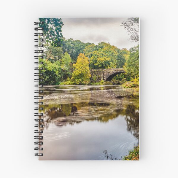 Item preview, Beaver Bridge Autumn Betws y Coed Wales designed and sold by AJEvans.