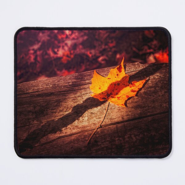 Item preview, Rope Swing In Autumn designed and sold by Jim Love.