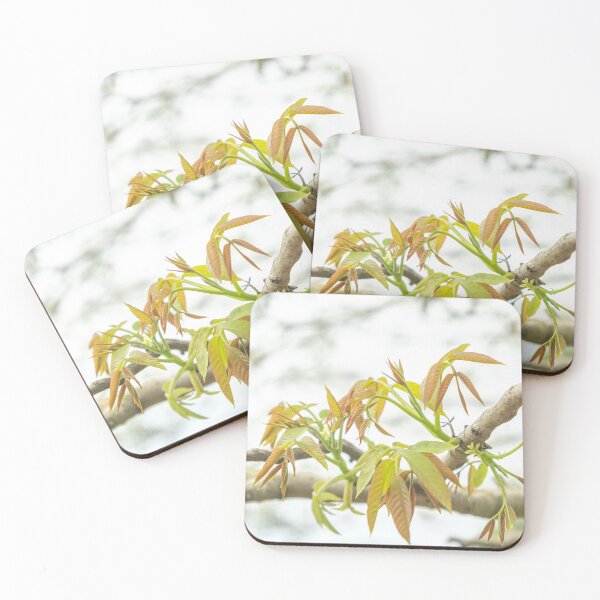 Item preview, Tree with walnut leaves designed and sold by FineArtFramed.