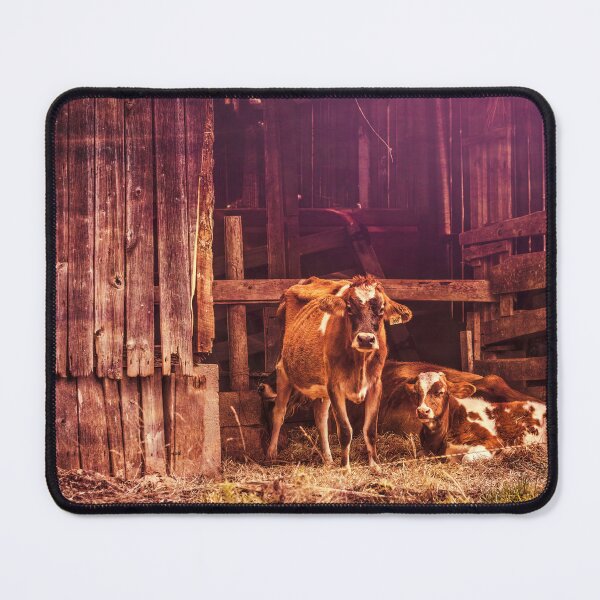 Item preview, Barnyard Girls designed and sold by Jim Love.