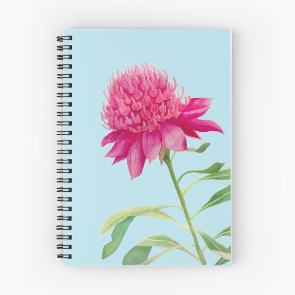 Artikelvorschau, Aquarell Waratah entworfen und verkauft von LaniMaeCreative.